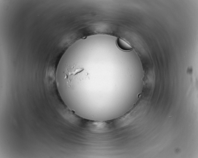 X0000103970478200809191538