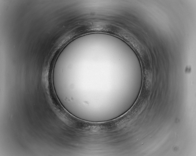 X0000103970482200809191538