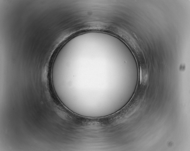 X0000103970483200809191538