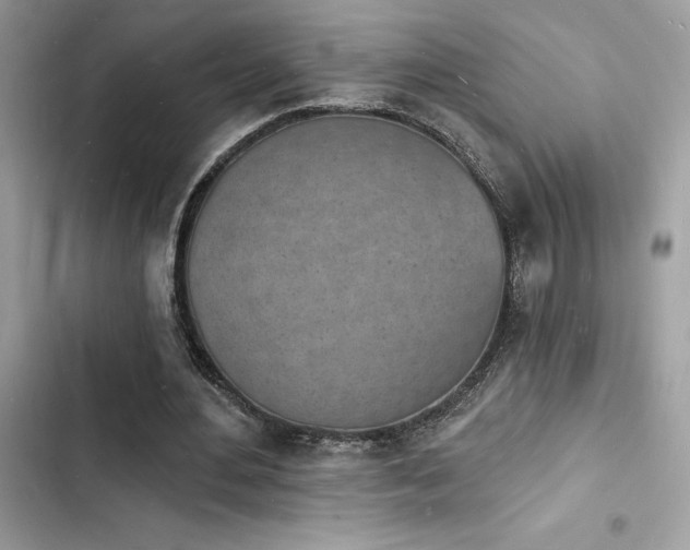 X0000103970484200809191538