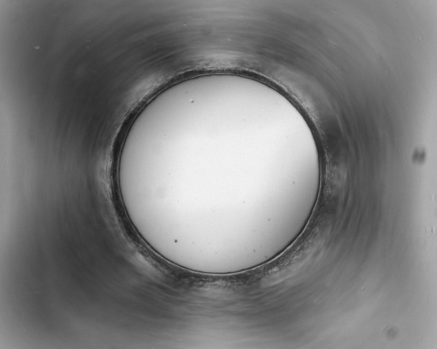 X0000103970485200809191538