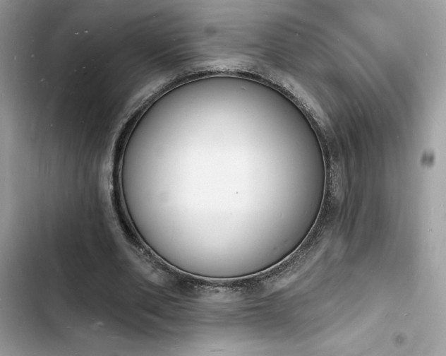 X0000103970486200809191538