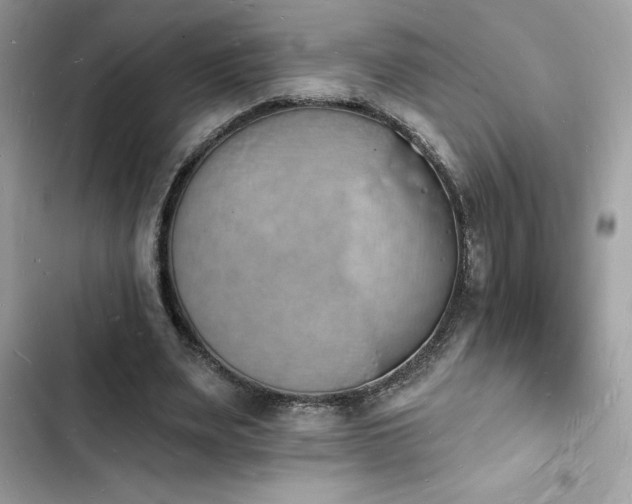 X0000103970487200809191538