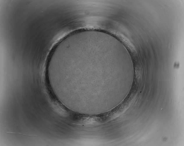 X0000103970488200809191538