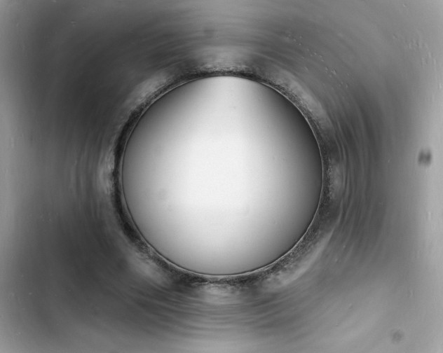 X0000103970490200809191537