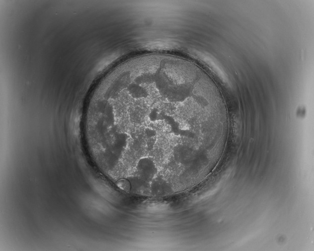 X0000103970491200809191537