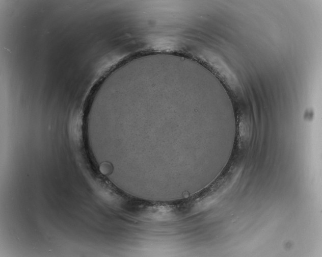 X0000103970492200809191537