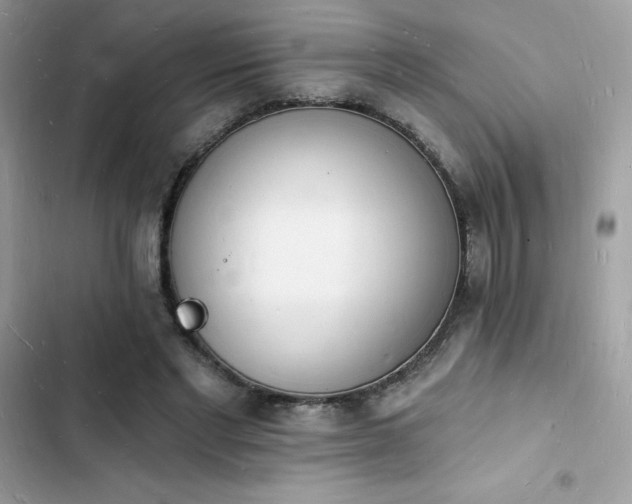 X0000103970493200809191537