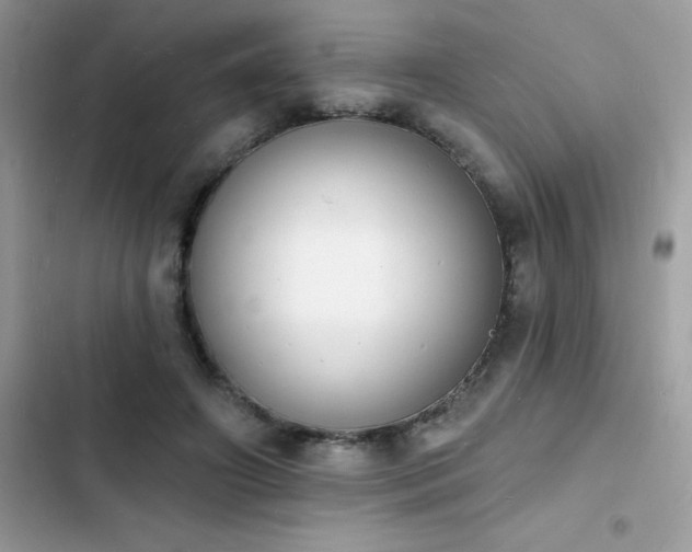 X0000103970498200809191537