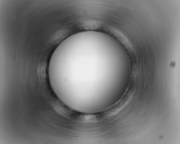 X0000103970501200809191537