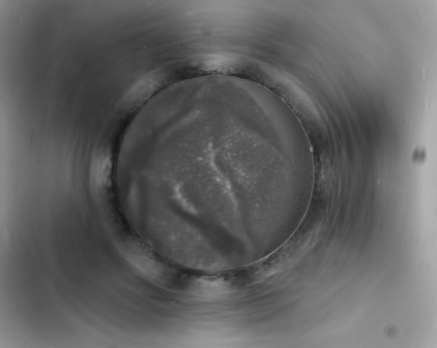 X0000103970502200809191537