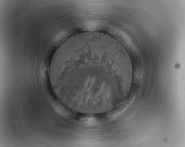 X0000103970503200809191537