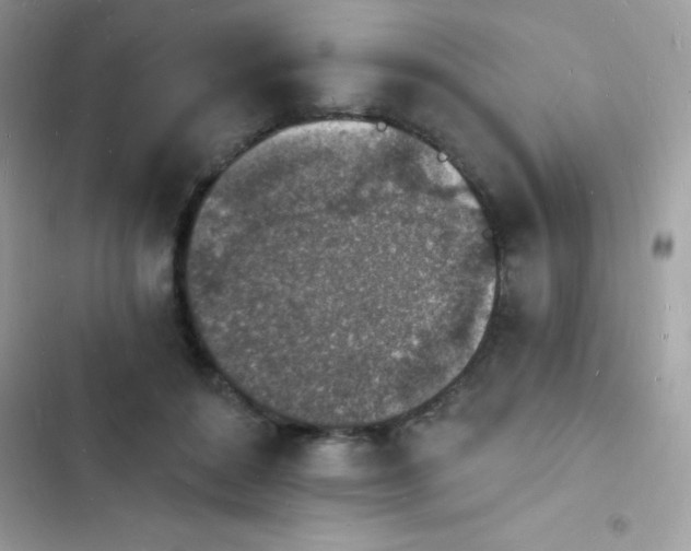 X0000103970504200809191537