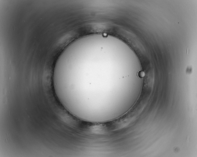 X0000103970505200809191537