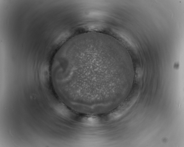 X0000103970506200809191537