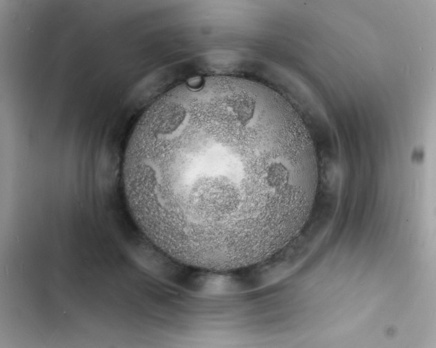 X0000103970507200809191537