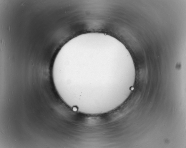 X0000103970508200809191537