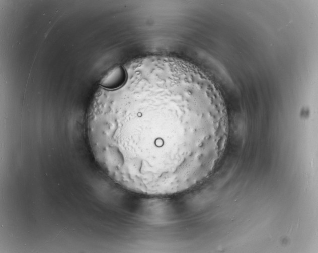 X0000103970511200809191537