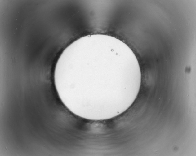 X0000103970512200809191537