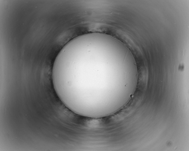 X0000103970513200809191537