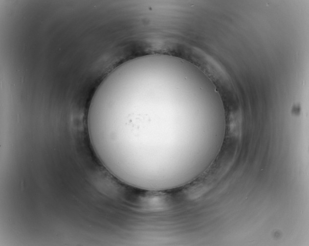 X0000103970514200809191537