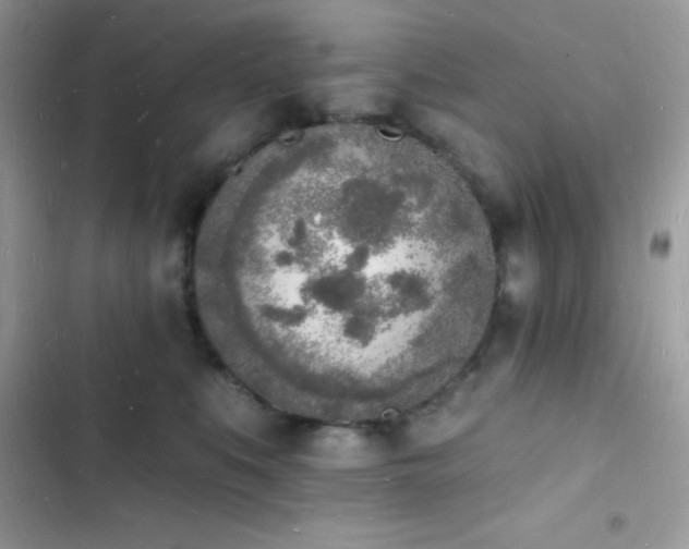 X0000103970519200809191537