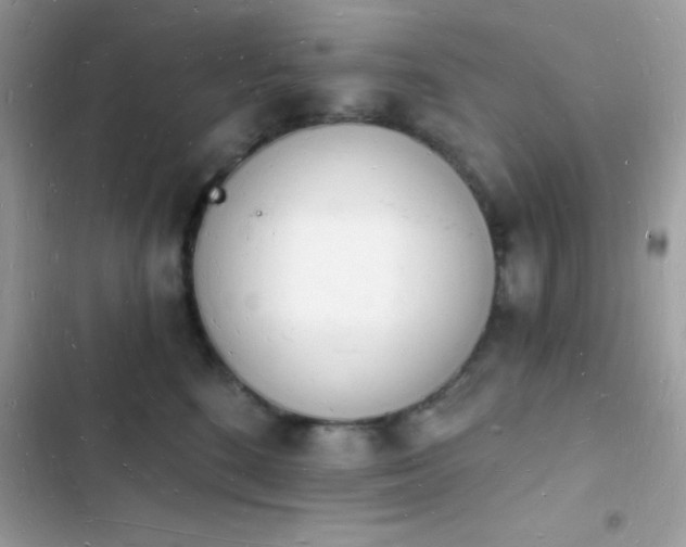 X0000103970520200809191537