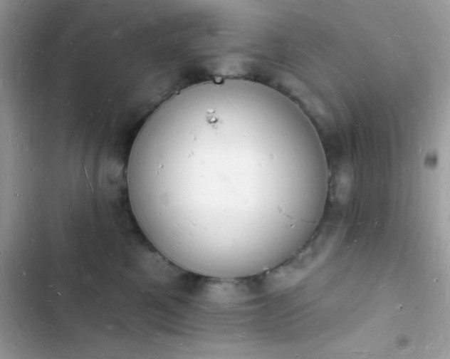 X0000103970521200809191537