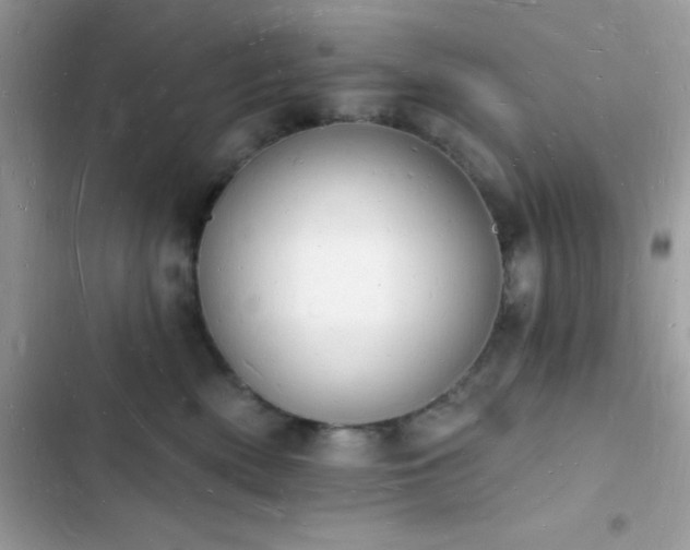 X0000103970522200809191537