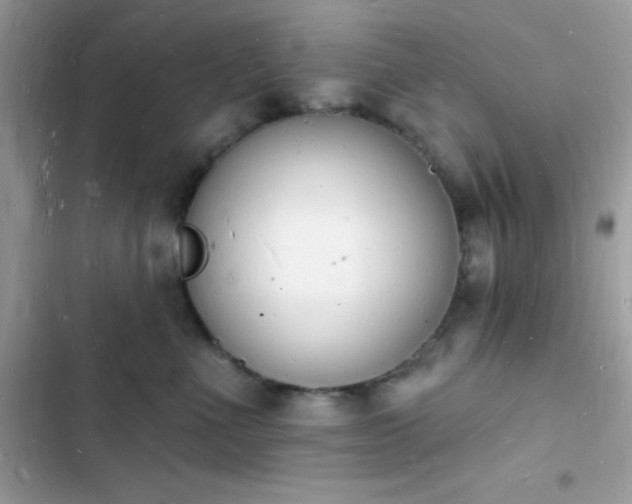 X0000103970523200809191537