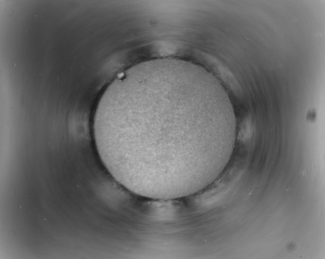 X0000103970524200809191537