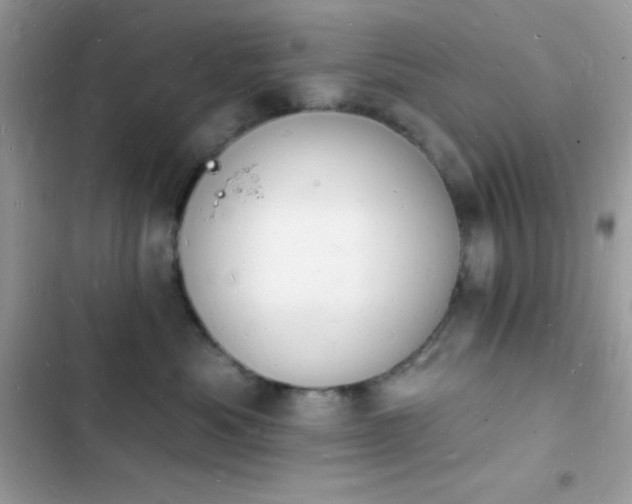 X0000103970525200809191537