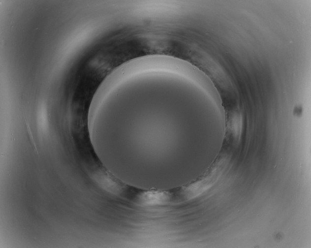 X0000103970526200809191537