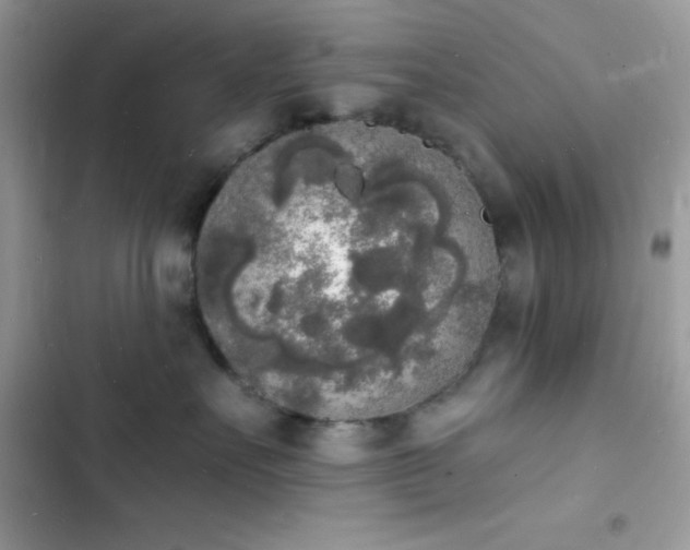 X0000103970527200809191537