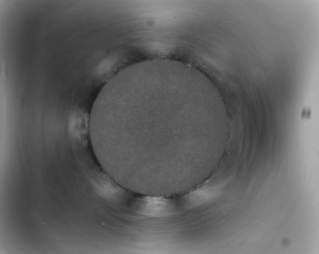 X0000103970528200809191537