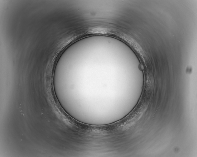 X0000103970529200809191536