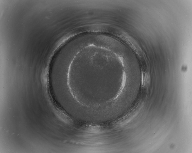 X0000103970531200809191536