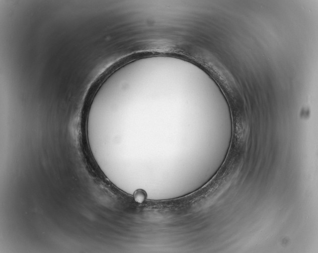 X0000103970532200809191536