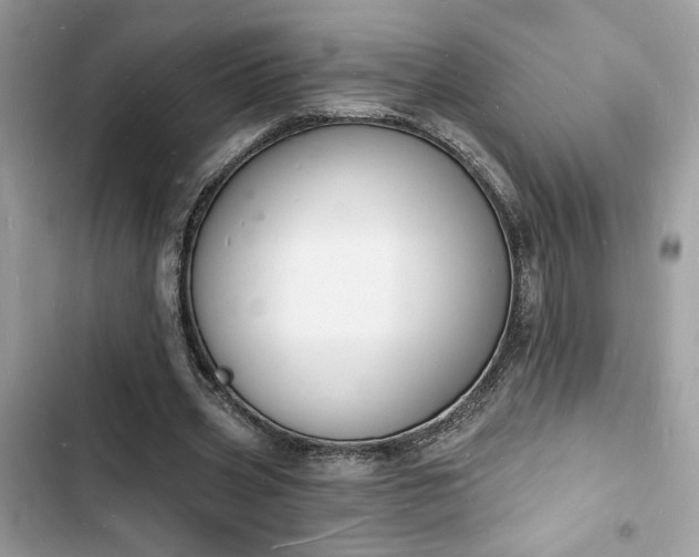 X0000103970533200809191536