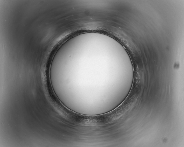 X0000103970535200809191536