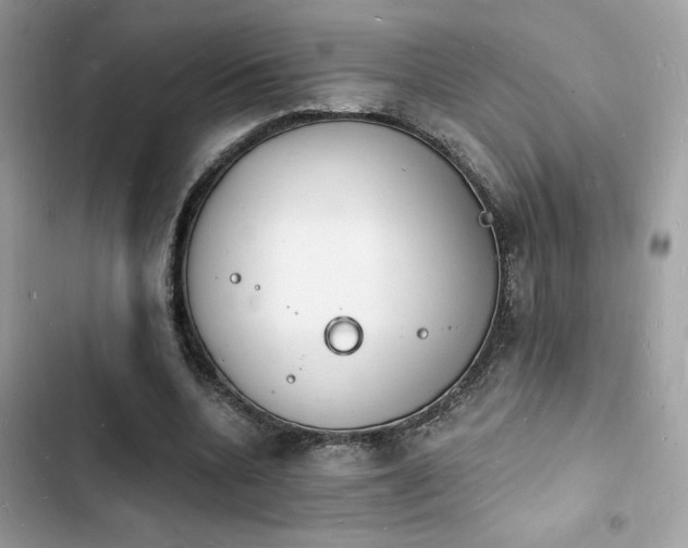 X0000103970536200809191536