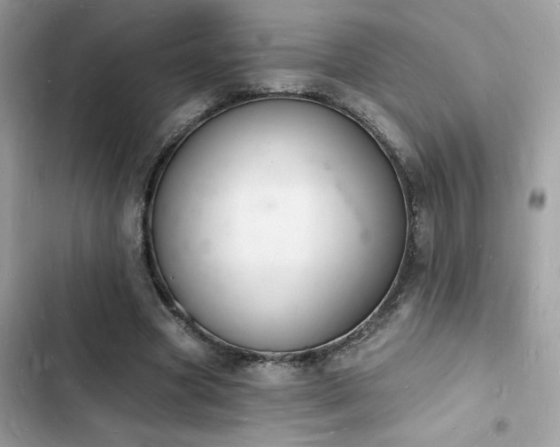 X0000103970537200809191536