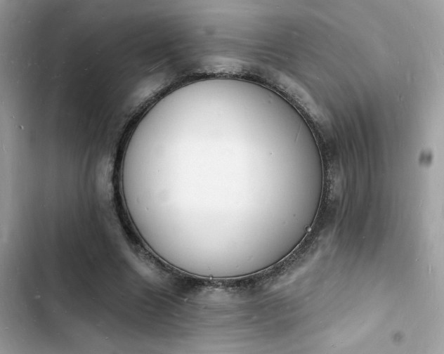 X0000103970538200809191536