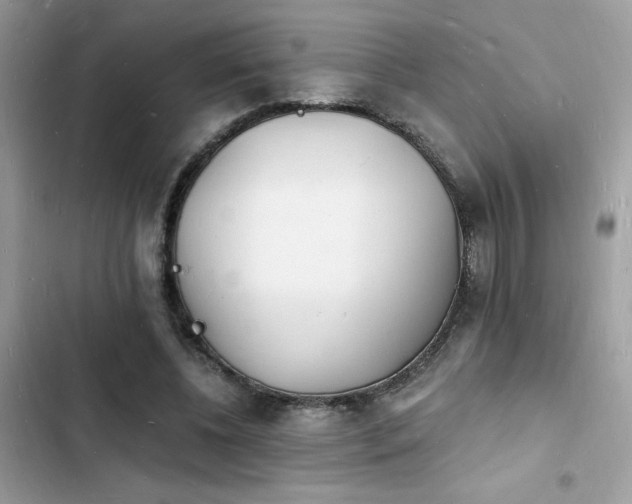 X0000103970540200809191536