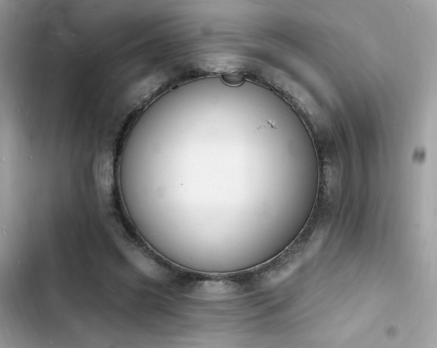 X0000103970541200809191536