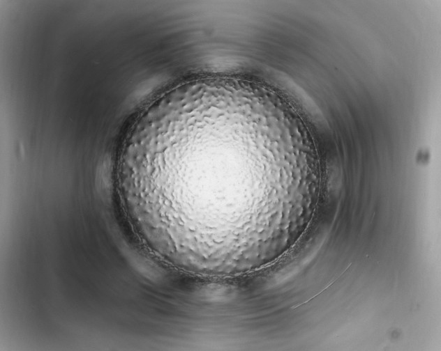 X0000103970542200809191536