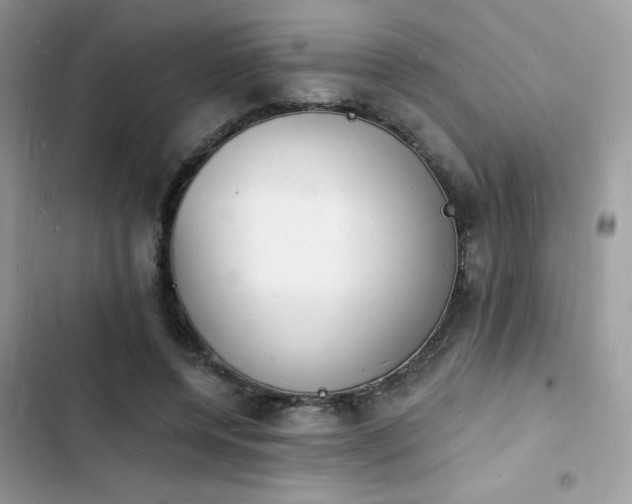 X0000103970544200809191536