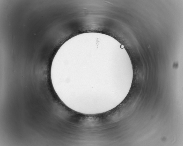 X0000103970546200809191536