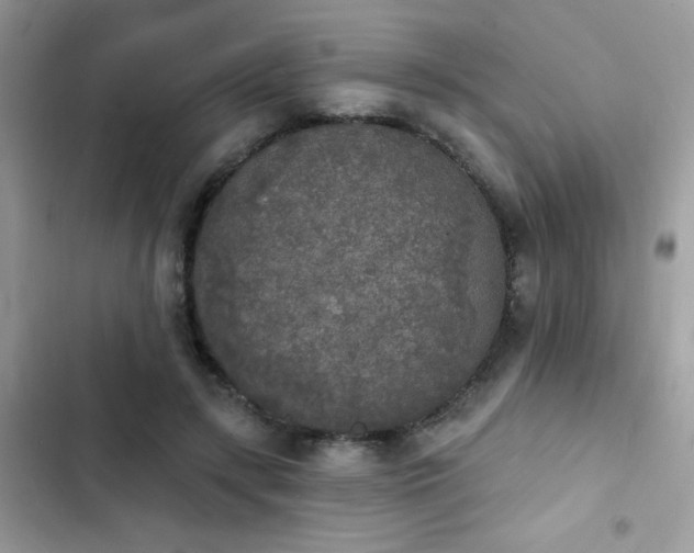 X0000103970547200809191537