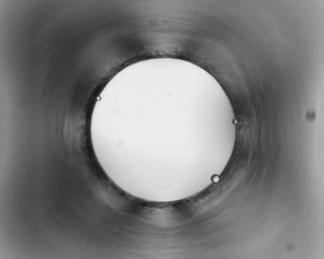 X0000103970548200809191537